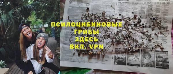 ешки Алексин